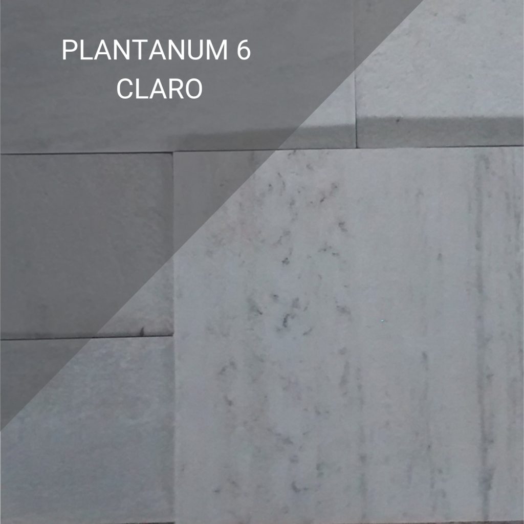Plantanum 6 B