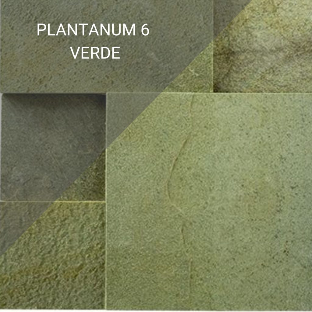 Plantanum 6 Verde