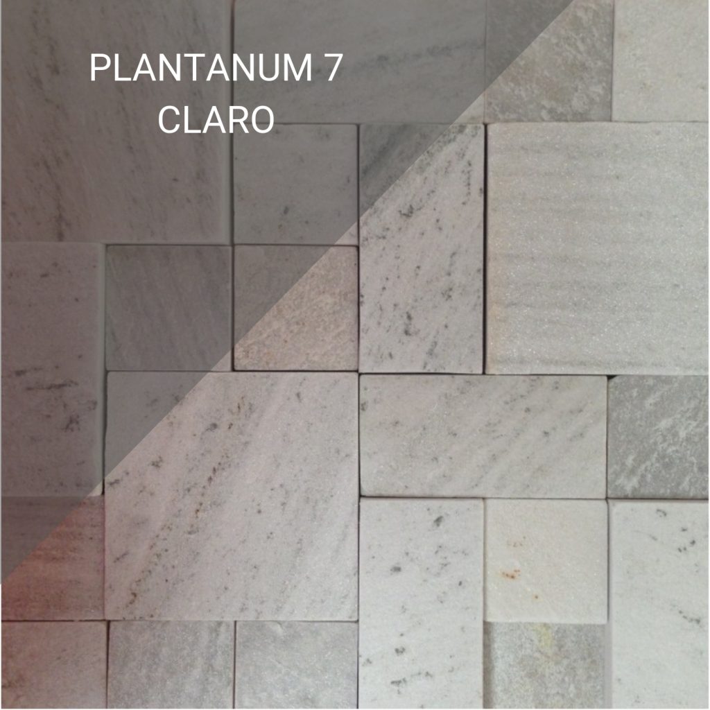 Plantanum 7 claro
