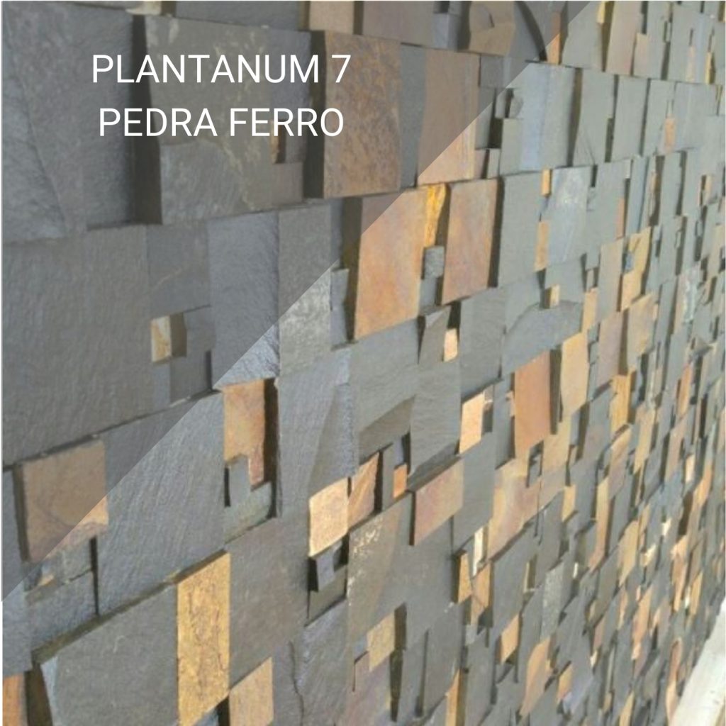 Plantanum 7 Pedra ferro