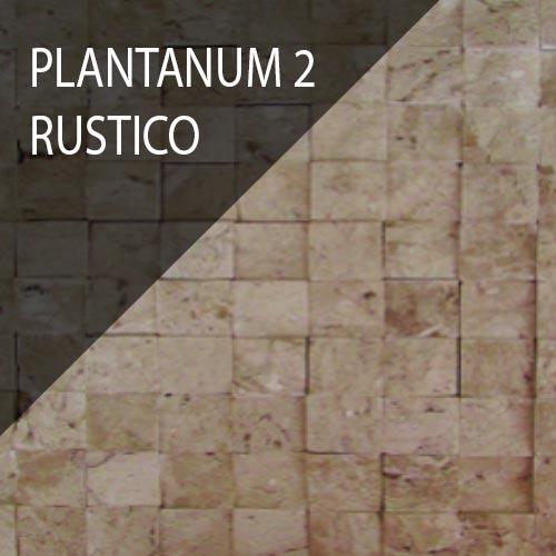 Plantanum 2 Rústico