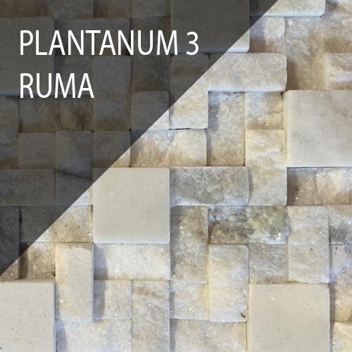 Plantanum 3 RUMA TR