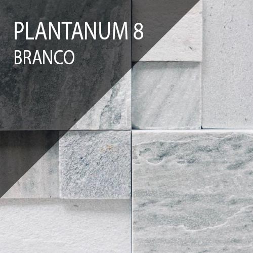 Plantanum 8 B