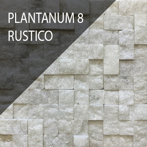 Plantanum 8