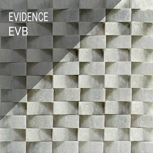 Evidence EVB