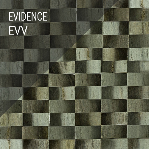 Evidence EVV