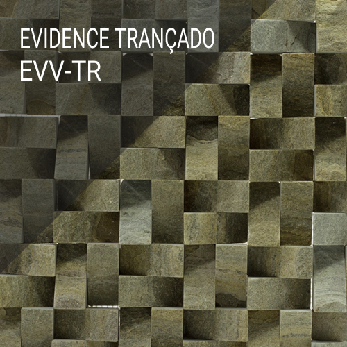 Evidence EVV-TR