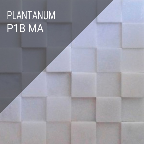 Plantanum 1 MA