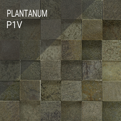 Plantanum 1 V